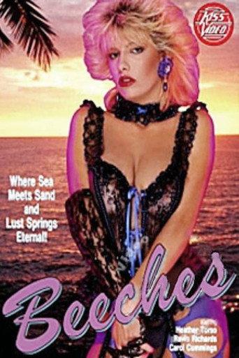 Beeches (1993) poster