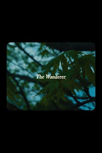 The Wanderer () poster