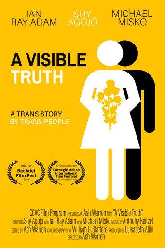 A Visible Truth () poster