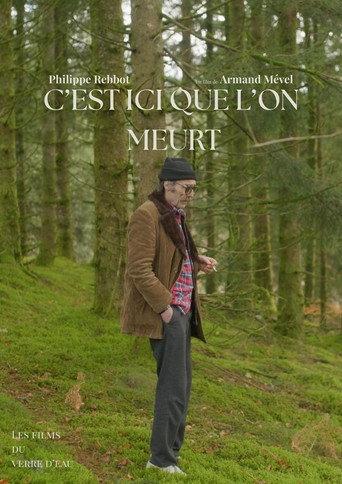 C'est ici que l'on meurt (2026) poster