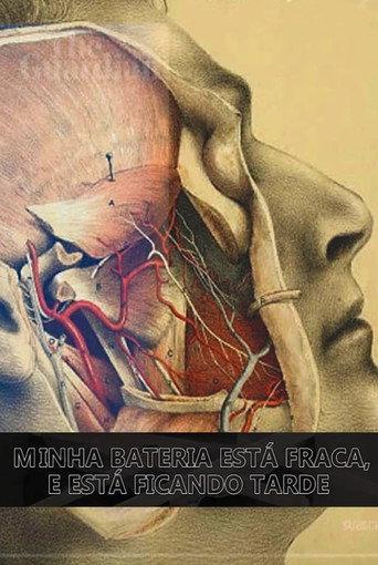 Minha Bateria Está Fraca e Está Ficando Tarde (2020) poster