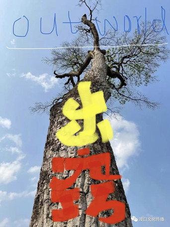 out world () poster