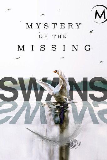 Swans: Mystery of the Missing (2019) poster