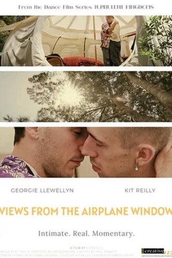 Views from the Airplane Window (2022) poster