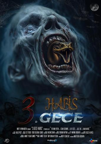 3. Gece Habis (2024) poster