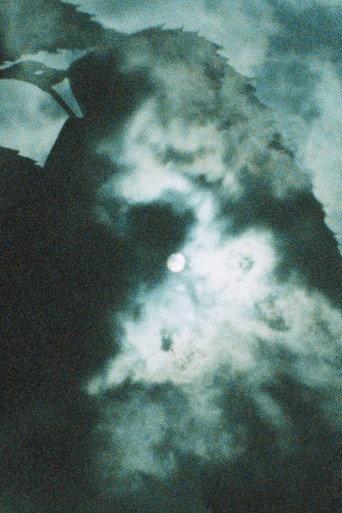 Shadow Stepping (1983) poster
