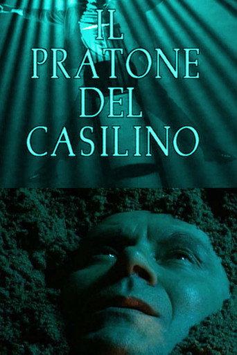 The field of Casilino (1995) poster