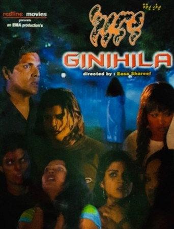 Ginihila (2003) poster