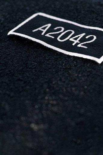 A2042 (2013) poster