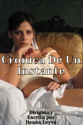 Chronicle of an instant (2009) poster