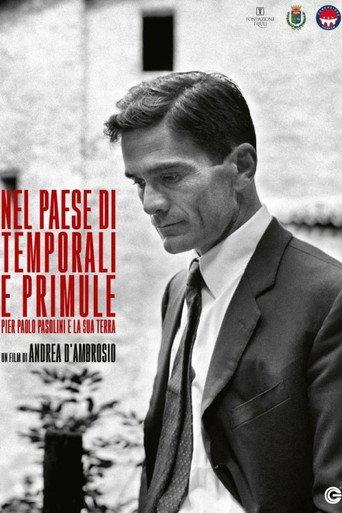Nel paese di temporali e di primule - Pier Paolo Pasolini e la sua terra (2021) poster
