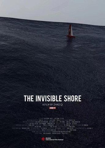 The Invisible Shore (2020) poster