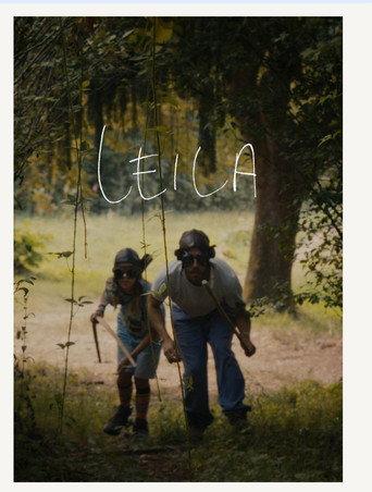 Leila () poster