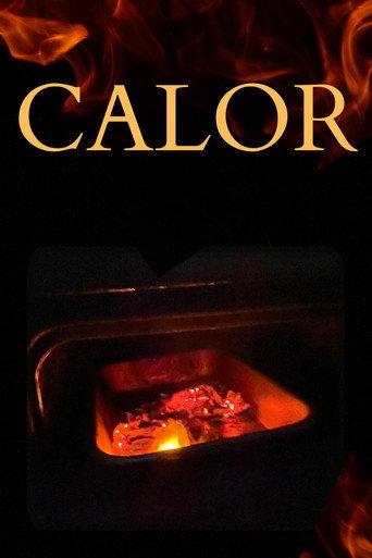 Calor () poster