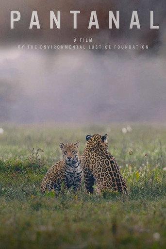 Pantanal (2024) poster