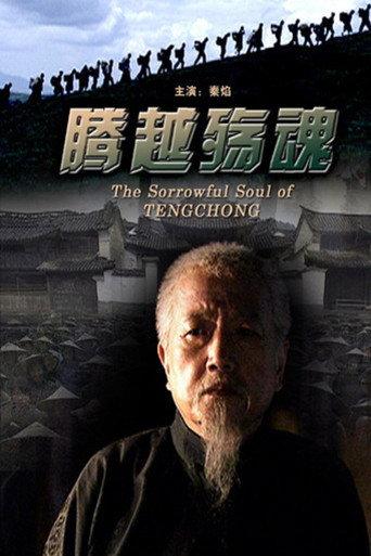 腾越殇魂 (2009) poster
