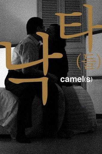 Camel(s) (2002) poster