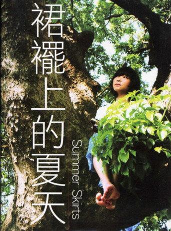 Summer Skirts (2011) poster