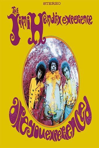 Are You Experienced (2010) poster
