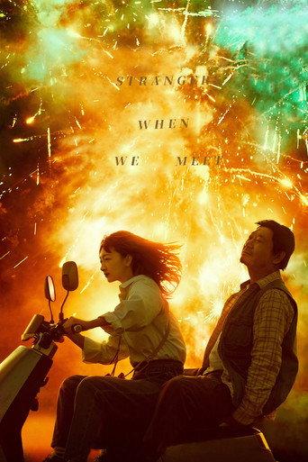 Strangers When We Meet (2024) poster