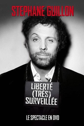 Stéphane Guillon - Liberté très surveillée (2011) poster