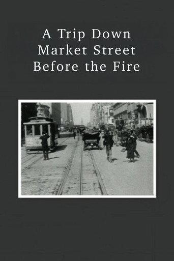 A Trip Down Market Street Before the Fire (1906) poster