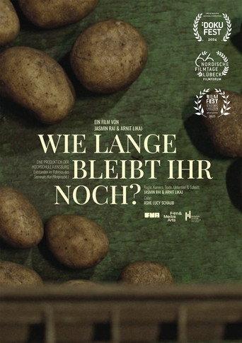 how long will you stay? (2024) poster