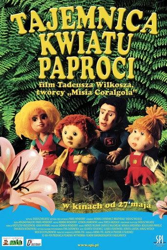 The Secret of Fern Flowers (2004) poster
