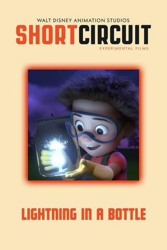 Lightning in a Bottle (2019) poster