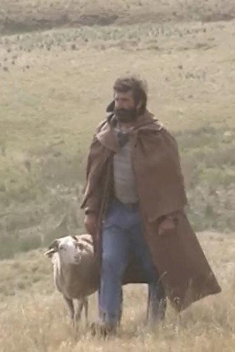 Shepherd and beyond (1994) poster