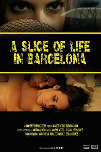 A Slice of Life in Barcelona (2015) poster