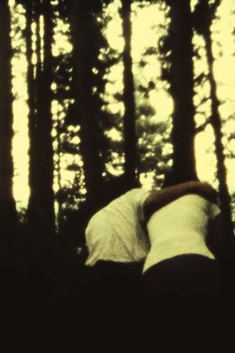 The Promise (1995) poster