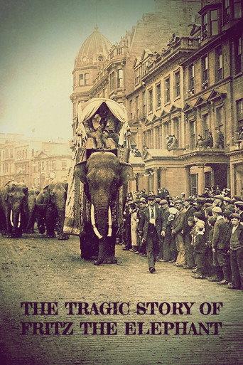 The Tragic Story of Fritz the Elephant (2023) poster