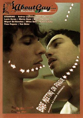 Bare Meeting On Prague (2007) poster