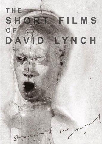 The Short Films of David Lynch (2002) poster
