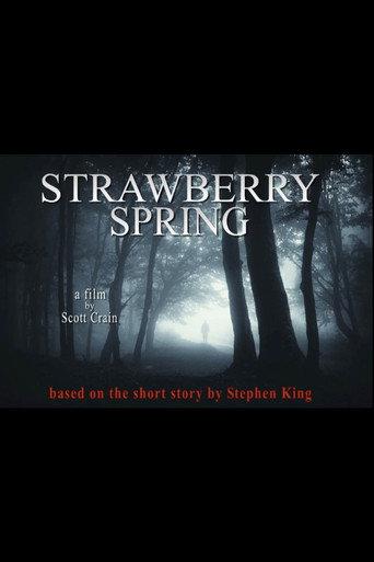 Strawberry Spring (2013) poster