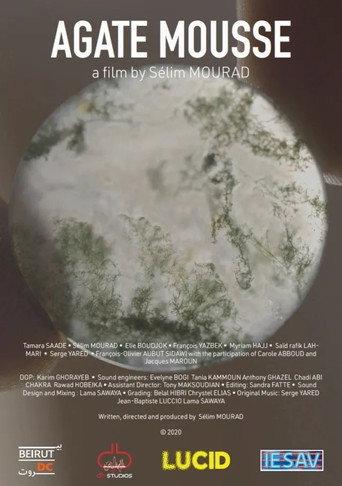 Moss Agate (2021) poster