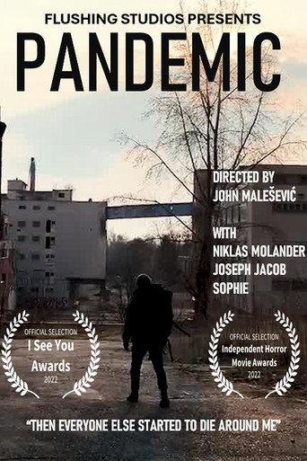 Pandemic () poster