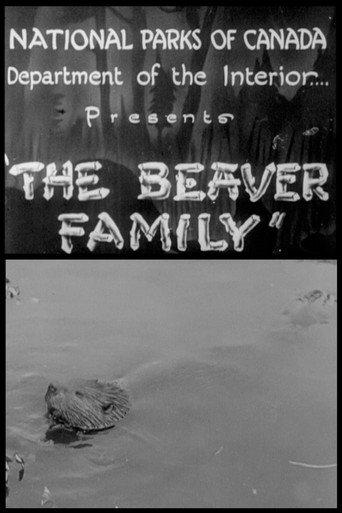 Beaver Family (1929) poster
