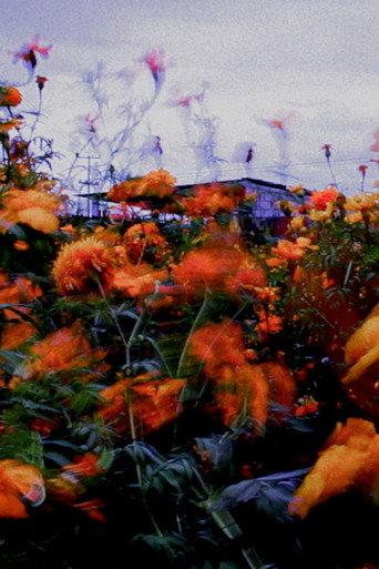 Monet (2022) poster