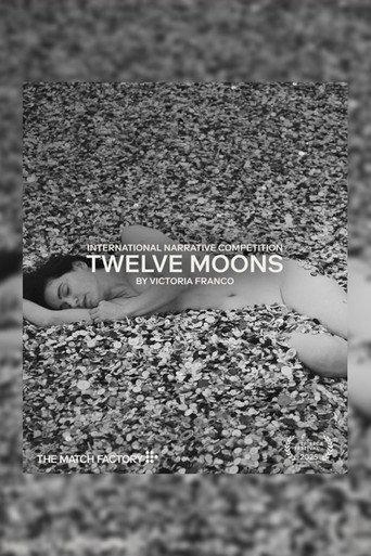 Twelve Moons (2025) poster