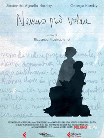 Nessuno può volare (2017) poster
