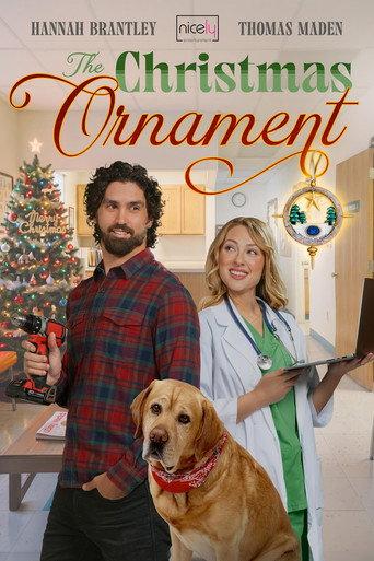 A Christmas Ornament to Remember (2026) poster