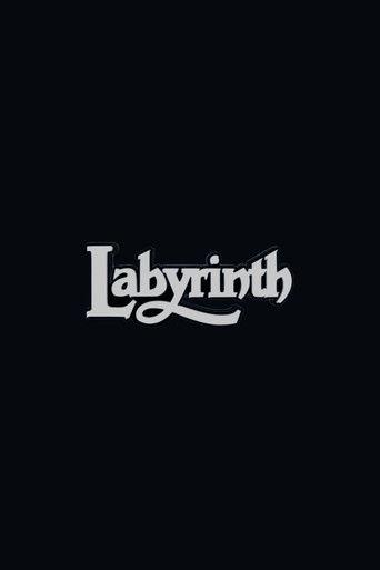 Labyrinth 2 () poster
