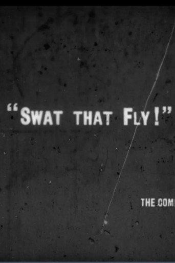 Swat That Fly! (1915) poster