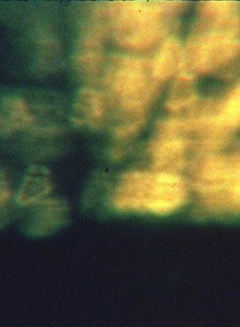 Estuary #1 (1998) poster