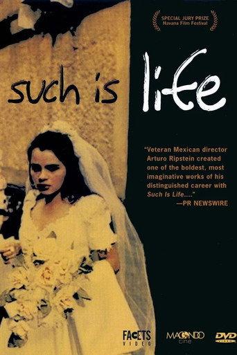 Such is Life (2001) poster