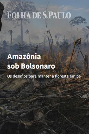 Amazon Under Bolsonaro (2020) poster