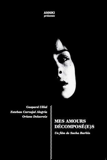 Mes amours décomposé(s) (2012) poster