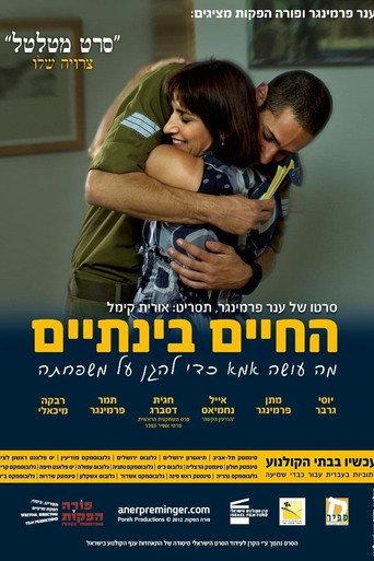 Present Continuous () poster